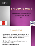 Leucosis Aviar