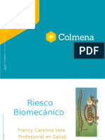 Riesgo Biomecánico