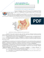 Guia 1 Aparatos Reproductores Del Ser Humano