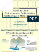 Résumé Du Cours Environnement & Sédimentaires