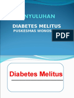 Penyuluhan Prolanis Diabetes