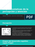 Etapas Evolutivas de La Percepción y Atención