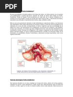 Qué Es El Ángulo Pontocerebeloso