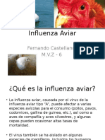 Influenza Aviar