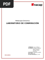 Informe Laboratorio 1