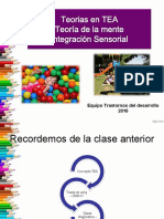 Integracion Sensorial y Teoria de La Mente 2016