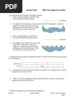 Biol 430 Question Bank MHC and Antigen Presentation