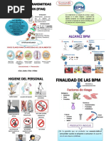 Folleto BPM