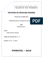 Informe Lab. - Neurofisiología II 