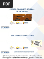 6 - Curso Cogep Medidas Cautelares