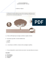 Ecossistemas 8º Ano