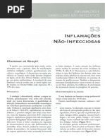 Parte 9 - Inflamações e Granulomas Não Infecciosos