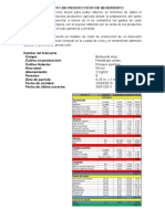 Modelo de Costo de Producción de Biohuerto