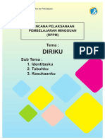 RPPM Tema Diriku