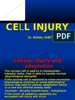 Cell Injury