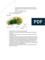 STPM BIOLOGY Photosynthesis