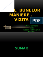 Codul Bunelor Maniere - Vizita.ppsx