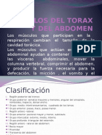 Musculos Del Torax y Del Abdomen