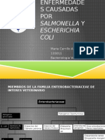 Enfermedades Causadas Por Salmonella y Eschericha Coli