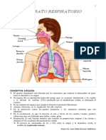 Aparato Respiratorio