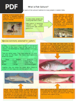 What Is Fish Culture