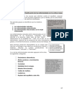 MedicinaMaya5 PDF