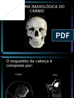 Anatomia de Crânio