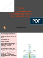 Variación Del Rendimiento de La Fotosíntesis Con La Intensidad de La Luz