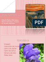 PDF Documento