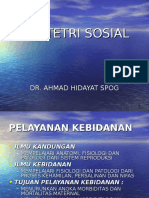 Obstetri Sosial