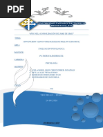 Informe de MICI II