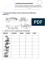 Desplazamiento de Animales 1°