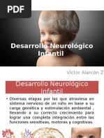 Desarrollo Neurológico Infantil