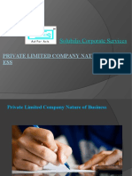 Private Limited Company Nature of Business