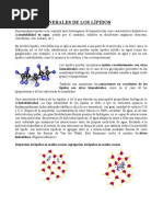 Aspectos Generales de Los Lípidos