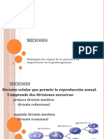 Meiosis