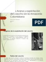 Unidad 7 Casa Arana y Explotación Del Caucho - Esteban Pabón Saldarriaga