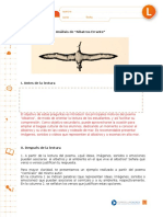 5° Comp Lect. #1 Albatros Profdoc