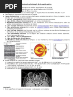 Anatomía y Patología de La Papila Óptica