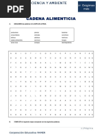 Ciencia y Ambiente III