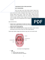 Sistem Digestivus Print