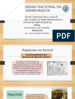 Diapositivas de Fijadores Con Formol