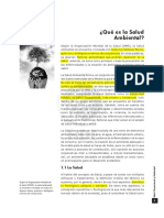 SALUD AMBIENTALCapitulo 1. Que Es La Salud Ambiental PDF