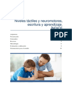 Niveles Tactiles Neuromotores