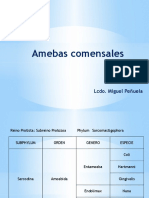 Tema 6 Amibas Comensales