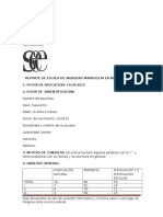 Cmas R Reporte de Escala de Ansiedad Manifiesta en Ninos Cmas R Ejemplo de Formato de Reporte de Aplicacion