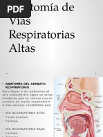 IRA Altas