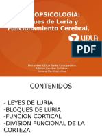 Clase 2 Bloques de Luria y Funcionamiento Cerebral