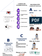 Triptico RCP