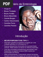 Neurofibromatose Tipo 1